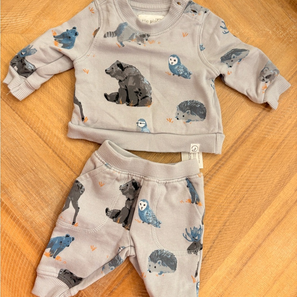 Carter's Organic Gray Animal Print Kids Matching Set